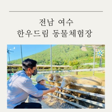 [전남 여수 여행]아이랑 가볼만한 곳:한우드림 동물 체험장