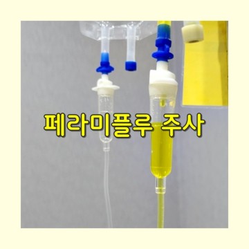 독감 증상 고열 지속 배아픔 페라미플루 주사 실비 효과 격리 후기