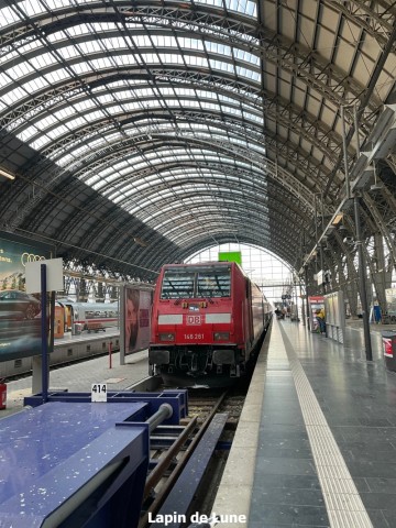[Frankfurt] 프랑크푸르트 여행, DB 독일기차 티켓 구입 방법 TIP 총정리, 프랑크푸르트 암 마인 기차역,  Frankfurt Hbf