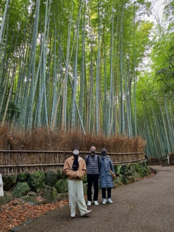 오사카 여행 : 교토 아라시야마 치쿠린, 도게츠교 (한큐패스)