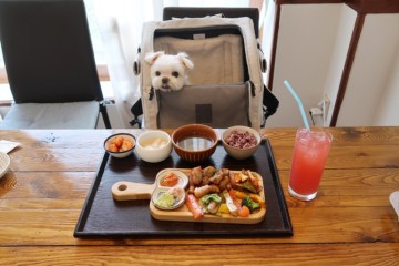 인천 애견동반 식당, 강아지 동반이 되는 농가의 식탁 애견식당