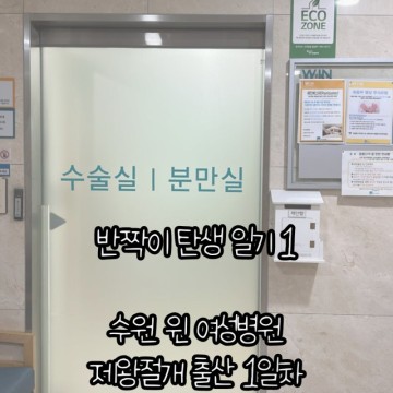 [출산후기] 반짝이 탄생 일기 1 (수원 윈 여성병원 제왕절개 출산 1일차)