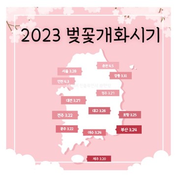 2023 벚꽃 개화시기, 여의도 석촌호수 경주 대구 이월드 진해 벚꽃축제 군항제
