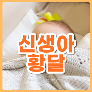 신생아 황달 수치 원인 검사 아기 모유황달 대처