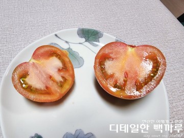 HN푸드 대저토마토 후기/ 단짠단짠 짭짤이토마토