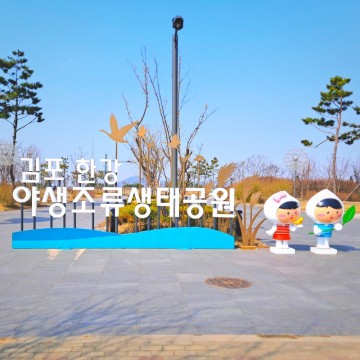 김포한강 야생조류생태공원 (김포 가볼만한곳) 65만제곱미터 드넓은 면적, 3.4Km 벚꽃 로드