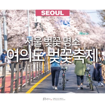 2023 여의도 벚꽃 축제 서울 벚꽃 명소 정보 전국 벚꽃 개화 시기
