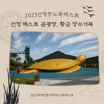 2023산청세계전통의약항노화엑스포 포토스팟 곰광장, 황금장수거북