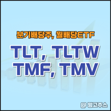 미국 분기배당주, 월배당ETF TLT, TLTW, TMF, TMV 분배금 알아보기