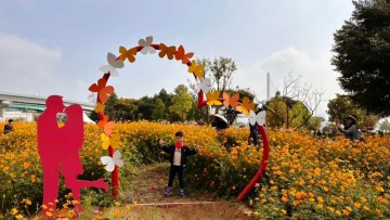 구리 가볼만한곳 한강시민공원 코스모스축제 꽃구경(ft. 주차장, 텐트)