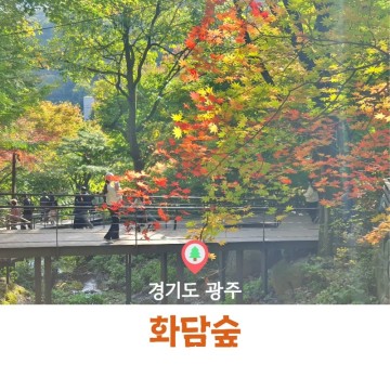 경기도 광주 화담숲 : 가을 단풍 축제, 2023년 10월 20일 단풍 상황 (주차 팁)