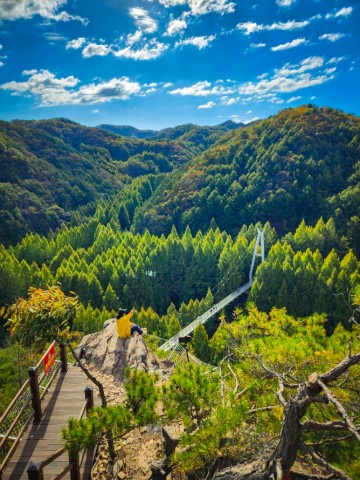 장태산 자연휴양림 가을 나들이 갈만한 대전핫플