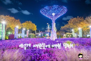 대전 가볼만한곳 오월드 야간개장 가을 대전 야경 데이트 나들이 명소