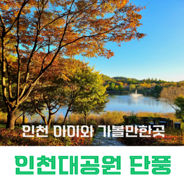 인천 아이와 가볼만한곳 인천대공원 단풍 시기 실시간 현황 및 공원 정보