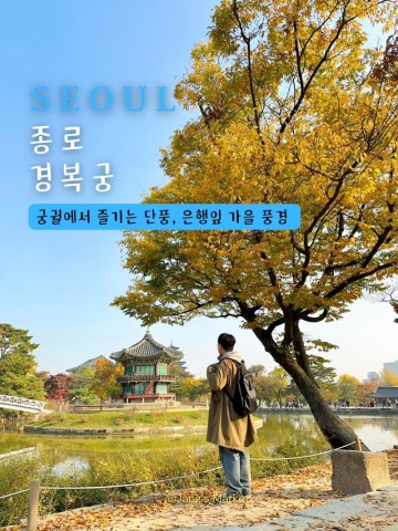서울 단풍 명소 구경 경복궁 : 알록달록 물든 가을 풍경