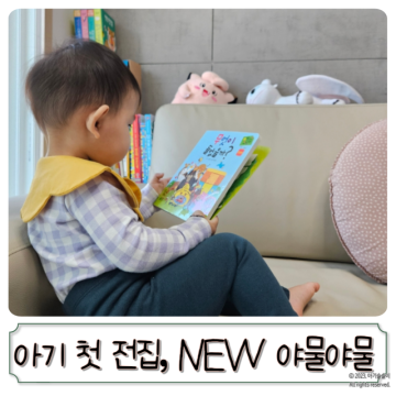 신생아전집 추천, NEW 야물야물 아기그림책 후기(내돈내산)