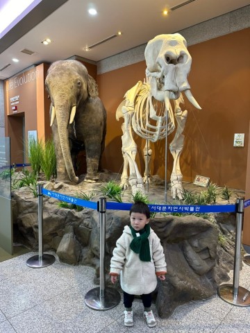 서대문 자연사박물관 관람료 주차 팁 공룡 좋아하는 아기랑 서울 겨울에 갈만한곳