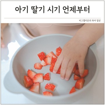 아기 과일 시기 언제부터 딸기 먹는시기 주의점