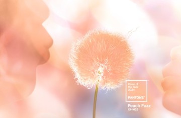 팬톤 2024년 올해의 컬러, ' Peach Fuzz'