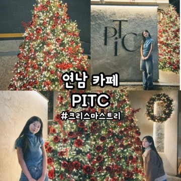 [마포/연남] 'PITC(핏크)' 서울 크리스마스 트리 카페, 서울 대형 트리, 연남동 핫플