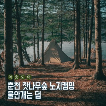 춘천 잣나무숲 노지캠핑 물안개는 덤