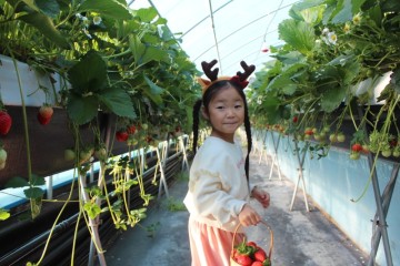 경남 아이와 가볼만한곳 통영 딸기체험 농장 듬뿍농원