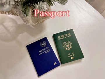 여권 발급 신청 의정부시청 여권 재발급 갱신 비용 준비물 소요기간