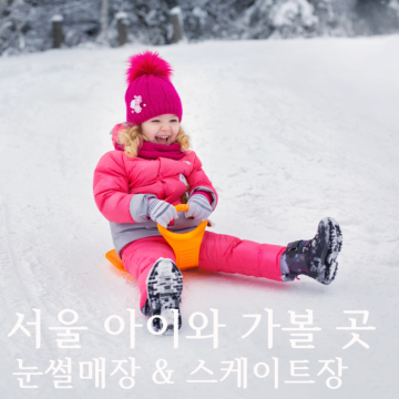 서울 눈썰매장 스케이트장 개장 입장료 이용 시간 정보 공유