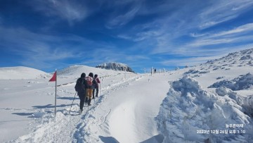 천상의 설원 한라산 윗세오름 탐방로 (어리목코스→영실코스, 2023.12.26)