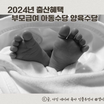2024년 출산혜택 부모급여 아동수당 양육수당 출산지원금