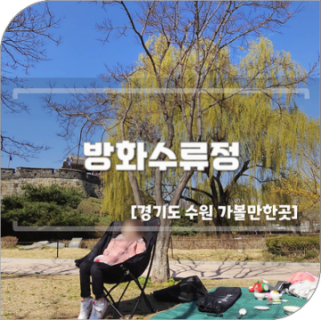 수원 방화수류정 벚꽃 피크닉 가볼만한곳 주차 꿀팁 정보