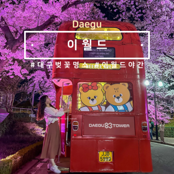 대구 이월드 벚꽃 야간 실시간 개화상태 포토존 산책 겸 다녀오기 좋은 놀이공원