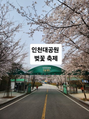 인천 벚꽃명소 인천대공원 벚꽃 축제 자전거 동물원 주말나들이 하기 좋아요