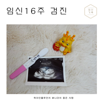 임신16주 정기검진 노산 엄마, 자궁선근증, 울 애기 파이팅