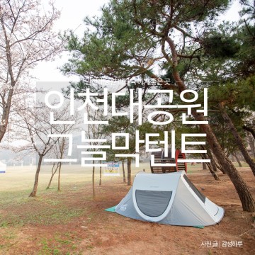 인천대공원 텐트 인천 피크닉 그늘막텐트 가능 자전거 대여소