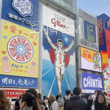 일본 eSIM 추천 사용법 일본 오사카 이심 유심 도시락 eSIM