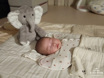 아기백색소음 수면인형 클라우드비 엘리엇 엘리펀트 코끼리애착인형