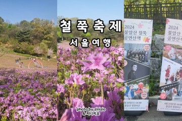 2024 봄꽃축제 4월 서울 꽃구경 가볼만한곳 불암산 철쭉축제 철쭉동산