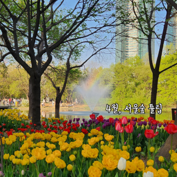 서울숲 튤립 위치 주차 수변쉼터 모퉁이정원 포토존 4월 성수 가볼만한곳 명소 서울놀거리