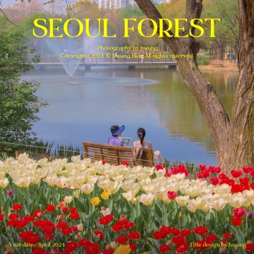 서울숲 튤립 위치, 성수데이트 코스 및 4월 서울 가볼 만한 곳, (평일도 사람 많아요)