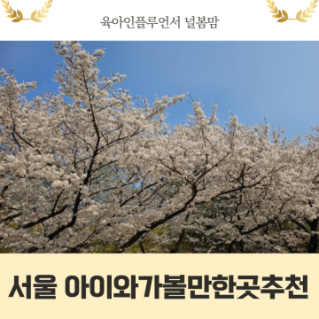 서울 주말에 아이와가볼만한곳추천 북서울꿈의숲 자연놀이터