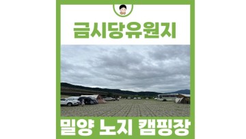 경남 밀양 가볼만한곳 밀양 캠핑장 추천 노지 차박 캠핑 금시당유원지
