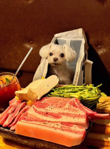 서울 애견동반식당 고기집 신수로 구워주는 고기 콜키지 가능