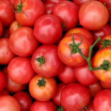 완숙토마토 보관법 토마토 보관법 냉장 및 냉동