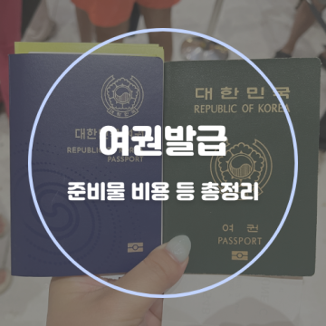 여권발급 총정리 :: 준비물 비용 장소 여권사진 기간 시간 갱신 재발급