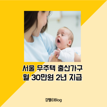 서울시 무주택가구 출산자녀 월 30만원 주거비지원