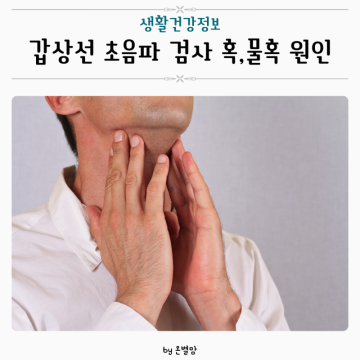 갑상선 초음파 검사 혹 물혹 원인 모양 위치