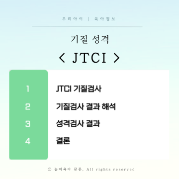 JTCI 아이 기질검사 유아 성격검사 후기 결과 해석 비용 내돈내산