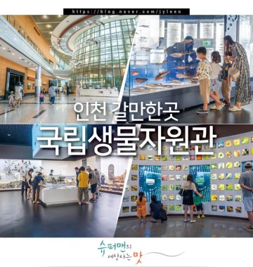 인천 갈만한곳 인천 여행 코스 국립생물자원관