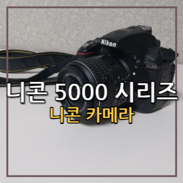 니콘D5300 비교, 니콘 D5000 D5100 D5500 D5600 DSLR 카메라 입문 추천